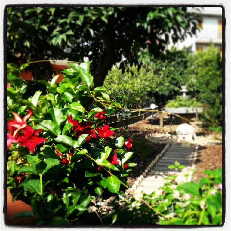 ביצ'לייה Villa Franca Mini Appartamenti מראה חיצוני תמונה